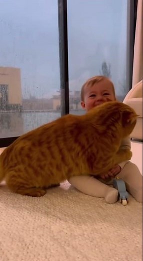 Cat Hugs Crying Baby During Thunderstorm! 🥹 The Most Wholesome Reaction