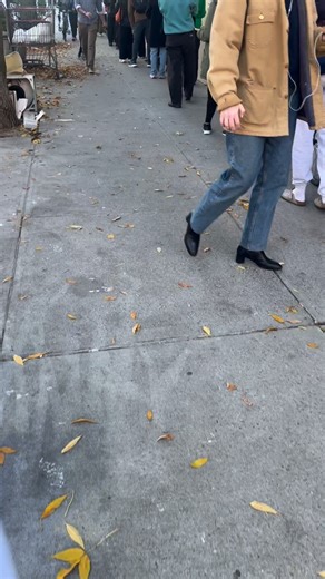 Was dropping off my son’s early vote ballot in Brooklyn today…long line around the corner with not a soul over 40 IMO. | Errol Louis