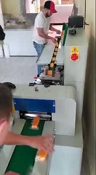 Máquina Empacadora Flowpack