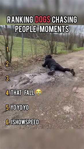 Ranking dogs chasing people Moments 😂🐶