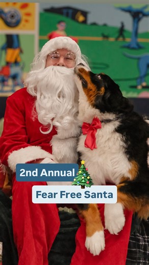 Clickstart Dog Training Team in OC on Instagram: "At Clickstart there’s no such thing as a “naughty list.” 🎅 We hosted our second annual Fear Free Santa event this weekend and had such a blast celebrating the chaos with your pups! Our biggest goal with these photo shoots are creating memories that you and your dog can cherish without throwing them into a stressful situation. This event was free with a donated item for our local shelter pups. We collected roughly $2,000 worth of donation items t