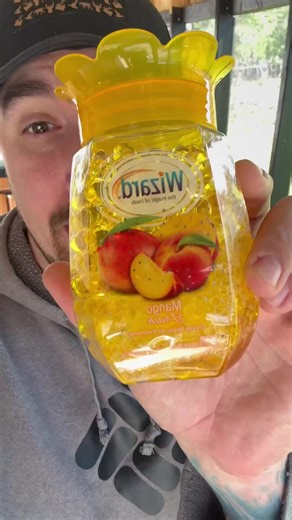 DIY Pest Control: Car & Yard Bug Repellents