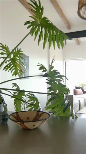 Granbury TX Interior Paint Refresh | Clean Modern Home Update