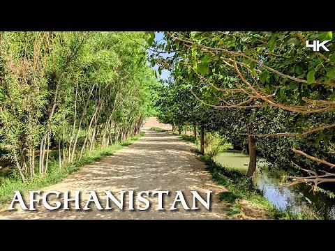 The Hidden Beauty of Afghanistan || What the Media Never Shows You (4K Nature Walk) 2025 🇦🇫
