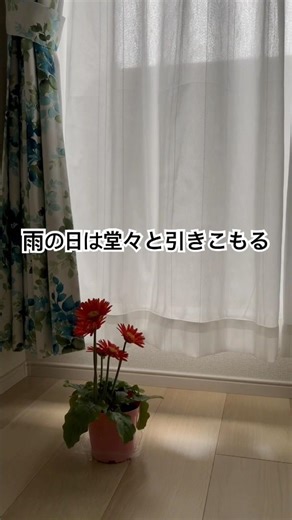 ただ、雨音を聴くだけ #シンプルライフ #ねこの暮らし研究室