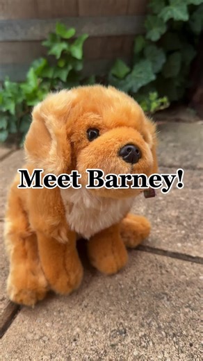 Meet Barney! 🐾 The perfect cuddle buddy! 🐶 Do you like small or big plushies? 🤔 #adhd #anxiety #anxietyrelief #anxietysupport #anxietyawareness #LittlePawsPlushies #EmotionalSupportStuffedAnimals #ESSA #plushie #essa #plushielove #plushielife #plushiescommunity