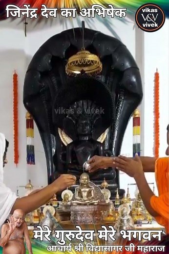 जिनेंद्र देव का अभिषेक #दिगम्बर #जैन #jainism #jainworld