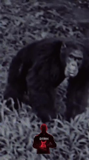 Let’s pretend that what they are saying is real. Are we, modern humans, a byproduct of genetic manipulation? Our ancestors were too strong and not smart enough to carry out the tasks the manipulators required. If this is real, were the Neanderthals and Denisovans wiped out by whoever genetically altered us? Done so to ensure our survival? Intriguing possibility. Completely unproven. From thepoddaddy on TT #geneticmanipulation #anunnaki #neanderthal #denisovan #history #unexplained #downtherabbit