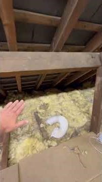 This roof is about to fall off (spreading) #loftladder #diy #building #construction