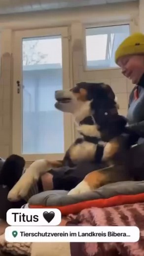 Geht einem da nicht das Herz auf? Titus, der zu seiner Anfangszeit im Tierheim alles andere als zugänglich war. Der mürrische, alte Grantel, der sich geöffnet hat und inzwischen so ungezwungen und schön mit unserer Leonie herumalbern kann 😀 | Tierschutzverein Biberach