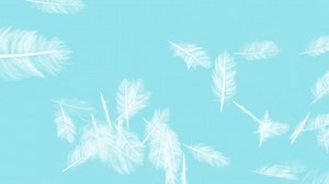 Feather Slow Fall On Light Blue-sky Stock Footage Video (100% Royalty-free) 3464210783 | Shutterstock