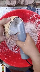 52K views · 477 reactions | Mini Hand Held Coconut scraper#coconutscraper #handheld #fbreels2025ツ #fbreelsfypシ゚viralシ #fbyシvideo #fbreelsfypシ゚ #fbpost #highlights2025 #fyp #foryourpage | Gab TV | Facebook
