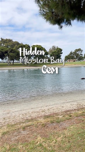 23K views · 76 reactions | I discovered Model Yacht Pond after...