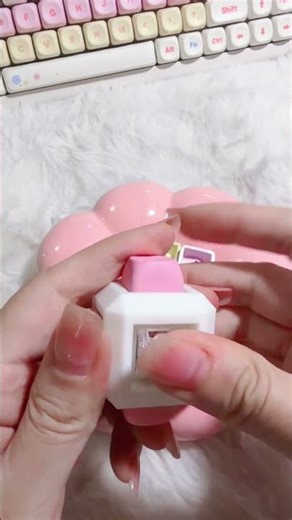 Instead your hand-held curio, 6 key keyboard fidget with cute MOA keycaps