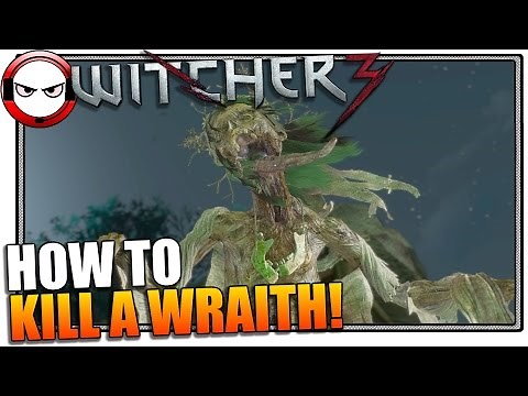 The Witcher 3 - How to kill a Wraith! (Witcher 3 gameplay)