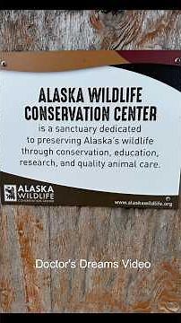 Alaska Wildlife Conservation Center
