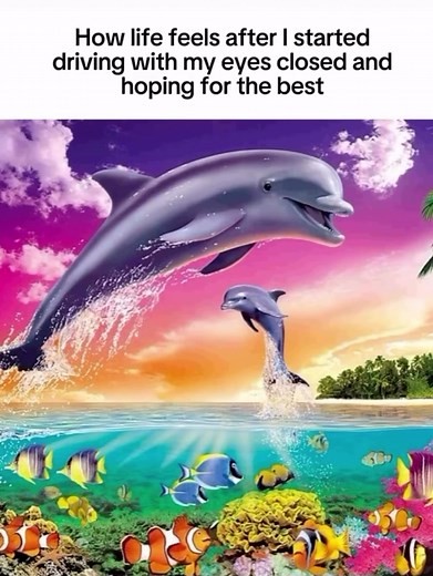 Colorful Dolphin Meme Compilation