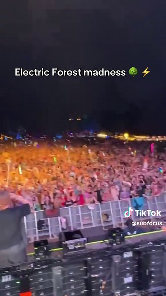 Experience the Madness at Electric Forest 2025