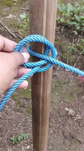 "The Most Useful Constrictor Knot!" #knot #shorts #diy