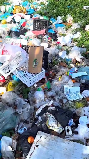 yess found lots of phone from trash #found #findphone #foryoupage #restore #phone #finding #iphone