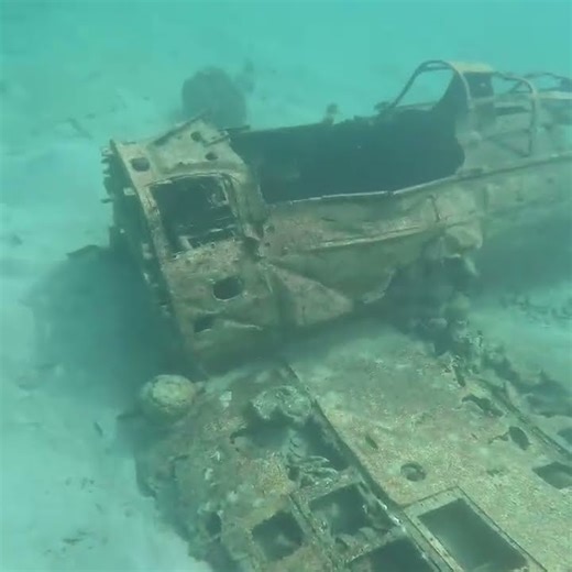 Airplane Wrack #airplane #ww2