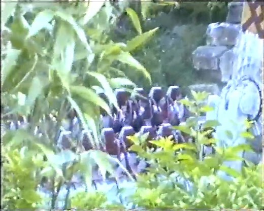 97, Chessington World of Adventures on Rameses Revenge with my Father, Romona & Robert Foxall. The clip ends with my brothers, Leigh & Patrick ✨️🎡🎢 #HomeFootage #ChessingtonWorldOfAdventures #Chessington #RamesesRevenge #ThemePark Chessington World of Adventures Resort | The Paulos Circus