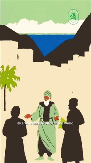 The American Coffee Revolution