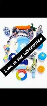 Amazon's CHEAP 15 Dog Toy Pack! AWESOME DEAL!!! Link in Below 👇🏽 #dogtoys #asmr #puppy