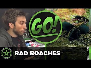 GO! #97 - Radroach Exterminator