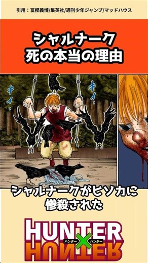 The real reason for Shalnark's death #hunterxhunter #HunterxHunter #anime #trivia