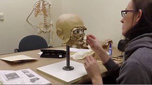 Earlier today, Attorney General DeWine and Greene County Sheriff Gene Fischer unveiled a forensic facial reconstruction of a woman whose skeletal remains were found earlier this year. A forensic artist with our Ohio Bureau of Criminal Investigation created the model over a period of 50-60 hours. Here is a time lapse video of the process from start to finish. Anyone who sees a resemblance to a missing friend or relative is urged to contact the Greene County Sheriff's Office at 937-376-5111 or BCI