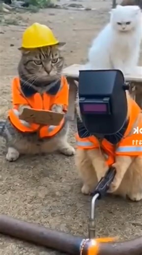 Hmm 🤔 can't wait for the next part 😂😂😂 | Kai Jumu