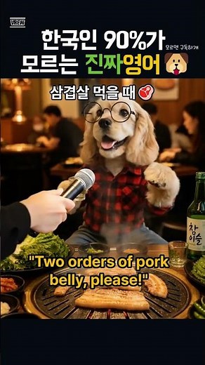 삼겹살집에서 꼭 쓰는 영어표현 | 코코 인터뷰 (삼겹살 편) #영어회화 #강아지 #영어공부