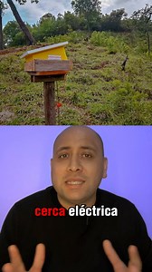 ElektroChoke Cercos Eléctricos on Reels