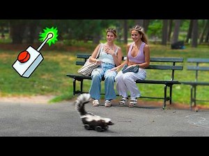 Remote Controlled Skunk!