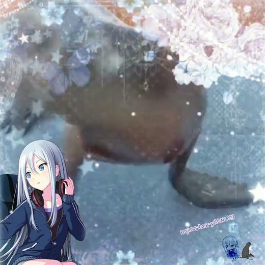 150 sub special- Seal edit :) Lazy due to burn out. #seal #kanade #pjskedit #pjsk #fyp #fypシ #fun