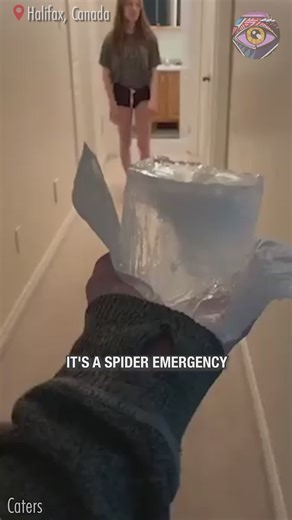 751K views · 266 reactions | She fell into her web of fun | Bright Side | Facebook