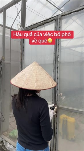 Hậu quả của việc bỏ phố về quê: Nông dân và nông nghiệp