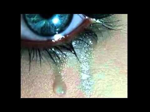 AVE DE CRISTAL (LETRA)