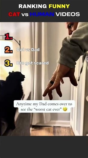 These CATS DON'T LIKE HUMANS!! Ranking funny cat vs human videos! Subscribe for more! #cat