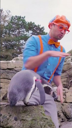 Blippi's a Penguin! 🐧 #shorts | BLIPPI | Educational Songs For Kids