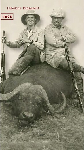 The Legacy of the 26th U S President Theodore Roosevelt