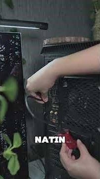 Kingston XS1000 external SSD