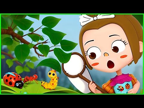 Toddler Bug Hunt! Fun Insect Song & Learning Adventure