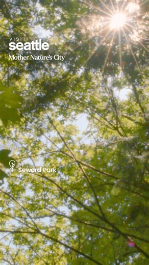 POV: you’ve found serenity in Seattle. | Visit Seattle