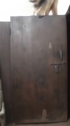 new blog post about the HTML5 player to view the HTML5 player to view the