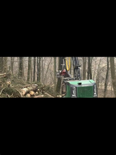 Wood Harvesting Techniques in Forestry