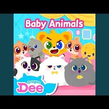 Baby Meerkat (Eng ver.)