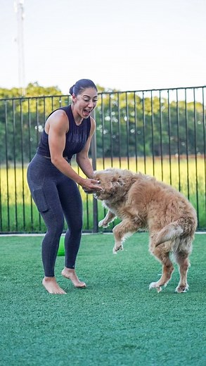 Stephanie Rodriguez on Instagram: "We all handle and process trauma differently… But when you have patience to rehabilitate, magical things can happen. I’m not talking just about animals here.殺 We can learn so much from dogs… And how to heal ourselves."