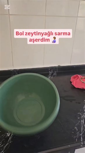 Hatice-halil_aslan on Instagram: "@koy_mahsulleri sayfasindan aldım yeni mahsul taptaze incecik ve damarsiz salamura yaprak ikili alımlarda kampanya 💃#reklam"